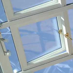 Optional Roof Light